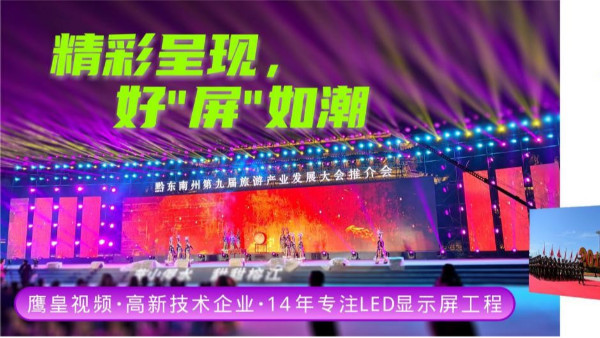 鹰皇视频