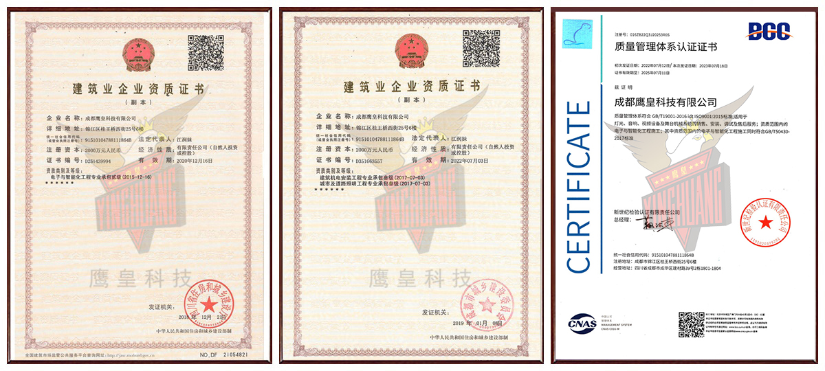 鹰皇资质